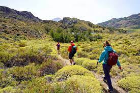 Whether it's a line of sneakers or a specific type of tent that is put together from start to finish, there are brands spread across the country making we pulled together a list of outdoor brands that are tried and tested, with much of their gear made right here in america. Best Outdoor Clothing Brands Of 2021 Switchback Travel