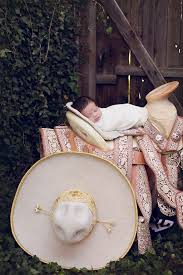 Asstr Lolliwood – Telegraph