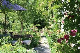14 Blumen Die Den Garten Verzaubern Ohne Arbeit Zu Machen Garten Garten Pflanzen Garten Ideen Gestaltung Vorgarten