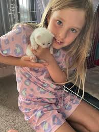 Cheshire Cats Rescue