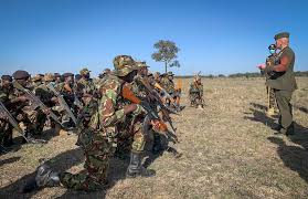 Enlisted is an mmo squad based shooter for pc, xbox series x|s and playstation 5 in world war ii where you act as an infantry squad leader, tank crew or an aircraft pilot. United States Africa Command