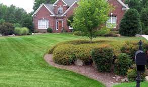 This list will help you pick the right pro lawn service in summerfield, nc. Tanner S Lawn Service Landscaping