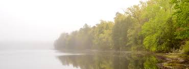 Free campgrounds can be hard to find. Wharton State Forest Outdoorsy