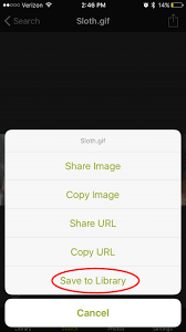 Then browse your timeline to find a gif you want to save, click on a gif to reveal its source. How To Download Save Gifs On Iphone Updated For 2018
