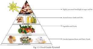 For the first few months of your baby's life, he or she exists solely on formula or breastmilk. Food Pyramid