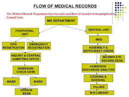Organization Of Medical Record