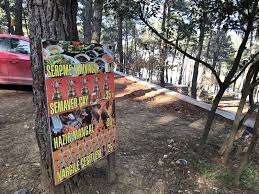Aydos piknik alanı konumuna ayrıntılı yol tarifi almak ve hangi yollardan gideceğinizi öğrenmek i̇çin buraya tıklayınız. Aydos Ormani Ne Gordum