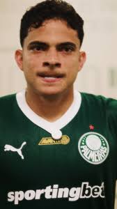 @Palmeiras's video Tweet