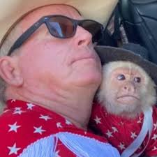 Mel Kiper Jr. says he's "disgusted" at Shedeur Sanders falling in the NFL  Draft past Round 3.