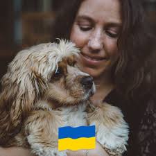 Has anyone try cbd oil to reduce there seizures?