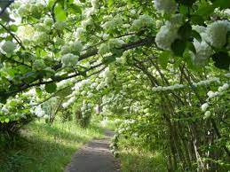 https encrypted tbn0 gstatic com images q tbn and9gcqqqxc4ng44bablgxdo3ab2ergryfu5n68cszos7gk usqp cau