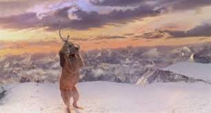 We did not find results for: How The Grinch Stole Christmas Max S Antler