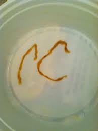 Maybe you would like to learn more about one of these? Got Parasites In Your Body I Bet You Do Andrea Beaman