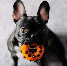 12 Indestructible Dog Toys Even The Toughest Fido Can T Break Dog Toys Indestructable Best Dog Toys Dog Toys