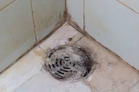 How to snake a clogged drain | ask this old house. How To Unclog A Shower Drain 5 Methods From Professional Cleaners