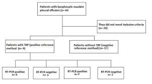 real time pcr assay for the diagnosis of pleural tuberculosis