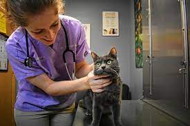 Change your schedule or cancel at any time. Animal Hospital Of Waterford Animal Hospital Of Waterford
