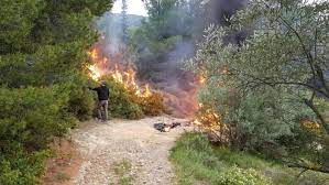 Το βίντεο διαρκεί μερικά δευτερόλεπτα. Pyrobolismoi Sto Dasos Ths Barympomphs Stis Floges Ix To Pontiki