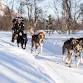 Dog Sledding: Arctic Adventure in Tromsø event image