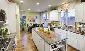 Large Galley With Island Opening Up To Dining Room Kitchen Design Decor Home Kitchens Beautiful Kitchens