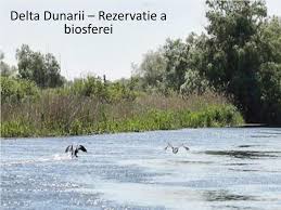 Delta dunarii rezervatie a biosferei. Ppt Delta Dunarii Rezervatie A Biosferei Powerpoint Presentation Id 3715837