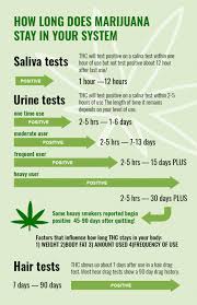 22 rare marijuana drug test detection chart