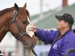 Image result for hats kentucky derby images 2016 ago