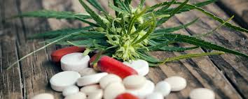 Cannabis In Der Medizin Die Gesetzliche Lage Netdoktor At