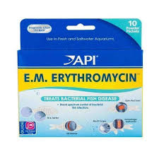 Api E M Erythromycin In 2020 Body Cures Fishing Room Beneficial Bacteria