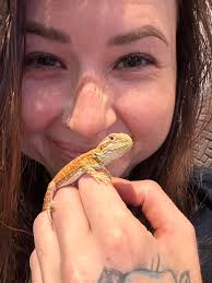 Pick up our first beardie next Saturday, Can't wait, "he's" absolutely  adorable!!