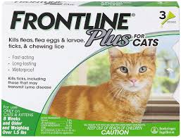 Fleas are annoying, painful and overall a huge pain in the butt. Amazon Com Frontline Plus Flea And Tick Treatment For Cats Pet Flea Drops Pet Supplies