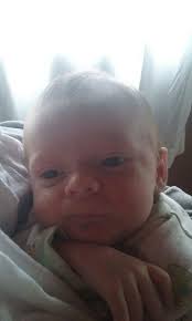 Just... Perfect (Just a small reminder this meme is owned by Daniel Dust)