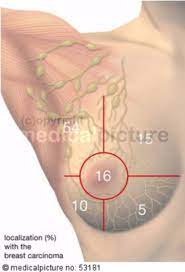 Each breast consists of tissue overlying the chest wall muscles (the pectoral muscles). Locations Of Breast Cancer Quadrants Of The Breast Doccheck