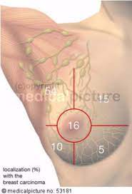 10.03.2021 · breast anatomy quadrants : Locations Of Breast Cancer Quadrants Of The Breast Doccheck