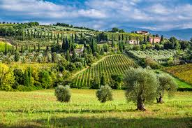 On your next vacation in italy be sure not to miss out the beautiful chianti classico wine region in tuscany, especially if you are a wine lover! Top Destinations For Wine Tasting Around The World On The Go Tours Blog