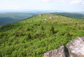 The peak's status as the state's highest point was the weather had been forecast to be sunny, but the morning dawned with a thick, wet, windy. Abingdon Virginia Hiking To Mount Rogers The Best Day Hike In