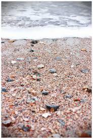 Great Area To Search For Sharks Teeth Fernandina Beach