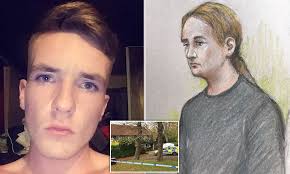 Son 'told his sister their mother had stabbed their father via his PS4'