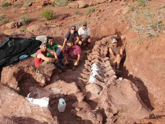 Hallan dinosaurio que podría ser el animal más grande que ha pisado la  tierra - Semana