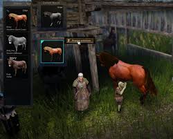 black desert online horse taming and breeding guide dulfy