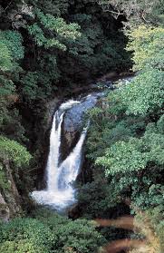 Find the perfect cocos island costa rica stock photos and editorial news pictures from getty images. Coco Island National Park Costa Rica City Guide Go Visit Costa Rica