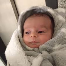 David Badia (@davidbadia7) • Instagram photos and videos