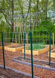 Making the frame, attaching the two support braces, adding the extension pieces at top, and tying on the strings which the bean vines use to climb. My Cattle Panel Trellis Kevin Lee Jacobs