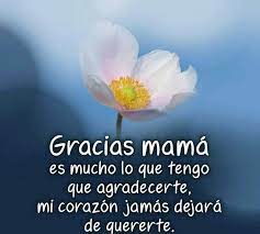 Este album de imagenes mama con 15 fotos e imágenes no tiene descripción. Gracias Mama Thank You Quotes Sayings Quotes