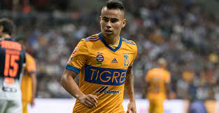Lucas zelarayan's goal for tigres is pure poetry. Search