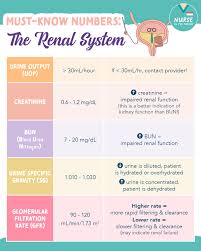Image result for Urine Output