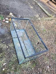 Trang cá nhân của Atlantic Critters Rescue