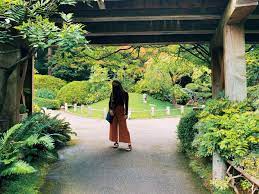 Japanese Tea Gardens Sam Steele Japanese Tea Garden Francisco