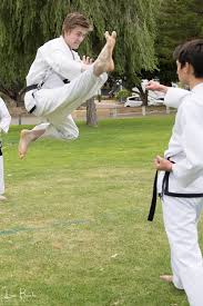 Pin By Ronald Shaw On Karate In 2021 Taekwondo Martial Arts Taekwondo Classes