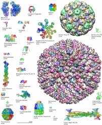 Biochemistry Wikipedia